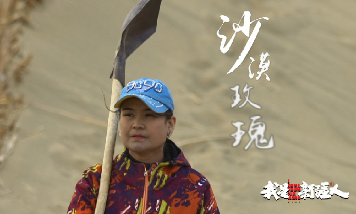 人在新疆|“致敬·礼赞”新时代奉献者·沙漠玫瑰